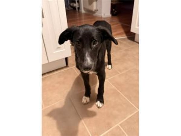 Anna - wartet in 66500 Hornbach