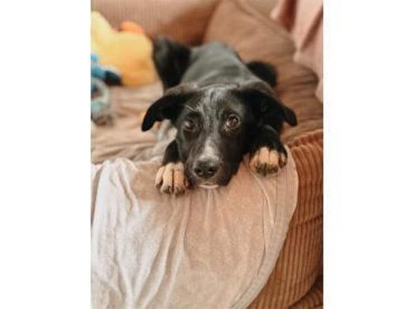 Anna - wartet in 66500 Hornbach