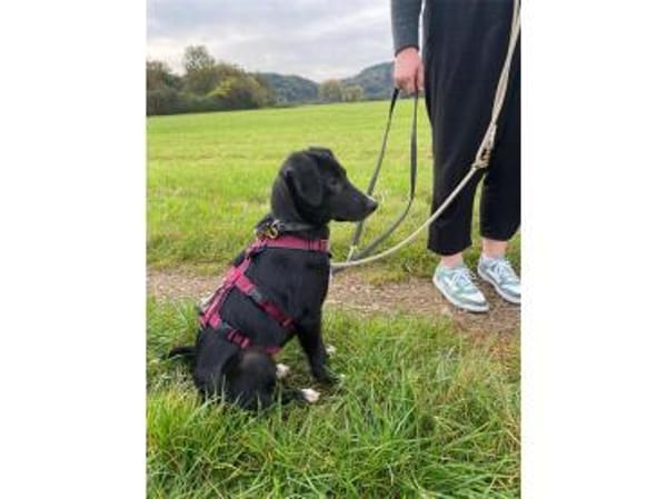 Anna - wartet in 66500 Hornbach