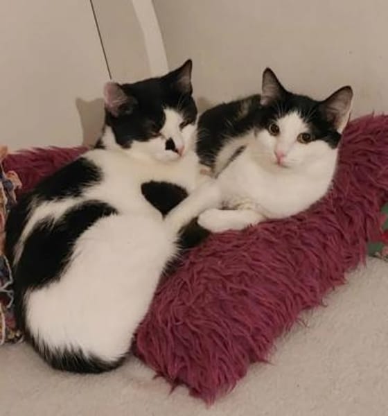 Sarah & Sasha Ruhiges Dreamteam