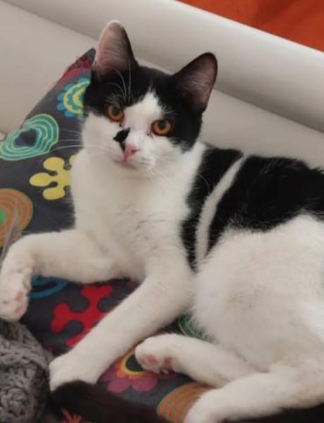 Sarah & Sasha Ruhiges Dreamteam