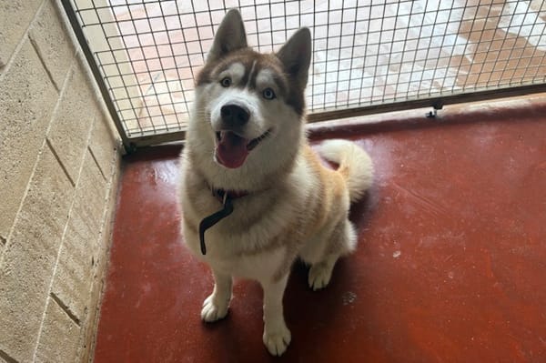 Winsmoke dit Wiwi PAA23083