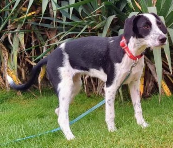 Christina wünscht sich eine Familie