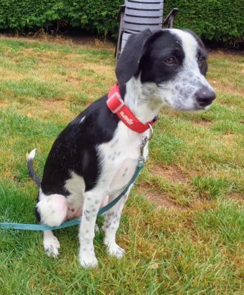 Christina wünscht sich eine Familie