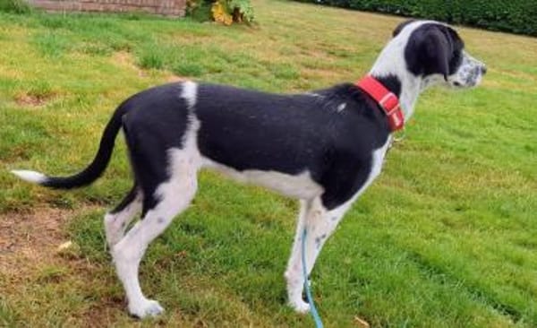 Christina wünscht sich eine Familie