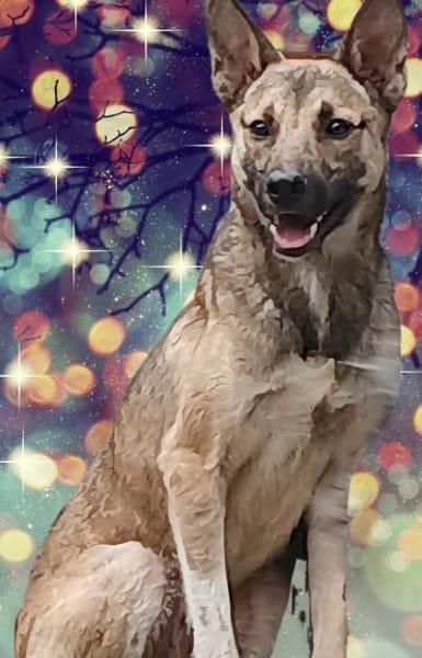 Wartend auf ein Wunder!