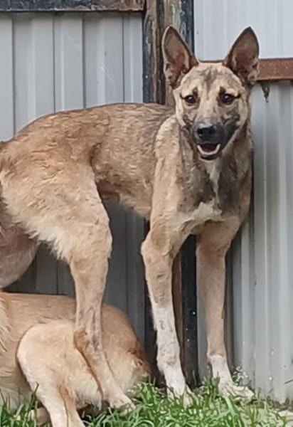 Wartend auf ein Wunder!