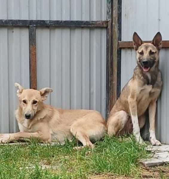 Wartend auf ein Wunder!