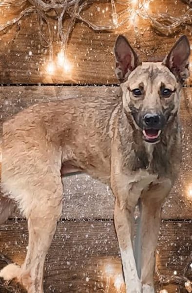 Wartend auf ein Wunder!