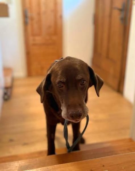 BARNIE  ausnahmslos lieber Senior