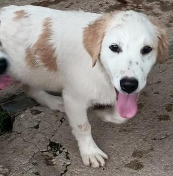 Zazou, so goldig 🥰