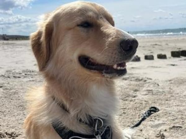 Cristoforo wünscht sich neues Zuhause