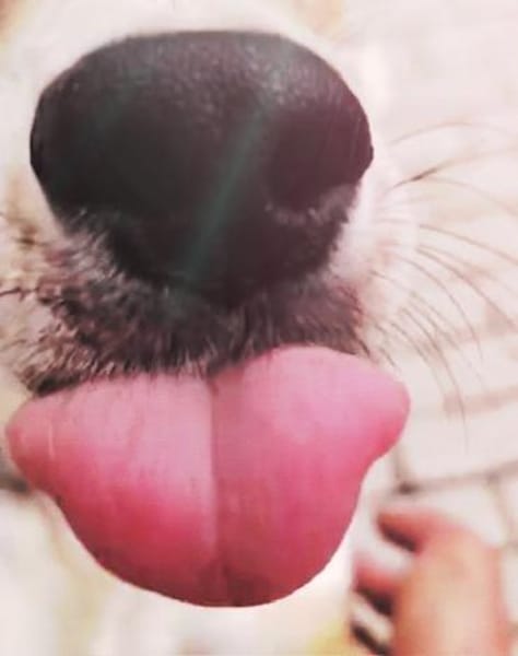 Unter keinem gutem Stern geboren!