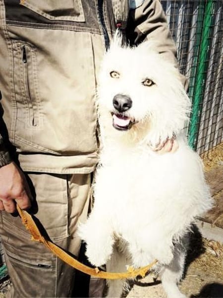 Wartend auf ein Wunder!