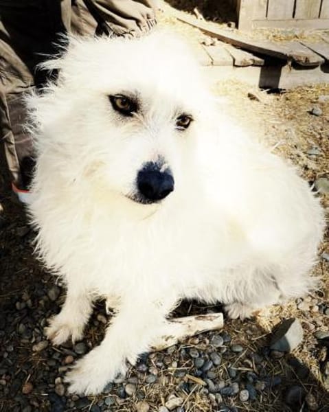 Wartend auf ein Wunder!