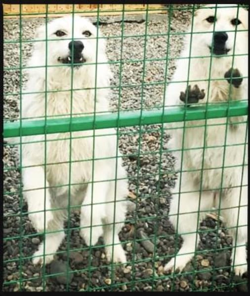 Wartend auf ein Wunder!