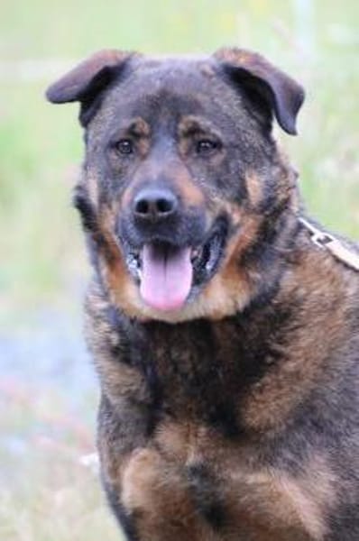 Yona - ein echter Prachtkerl!