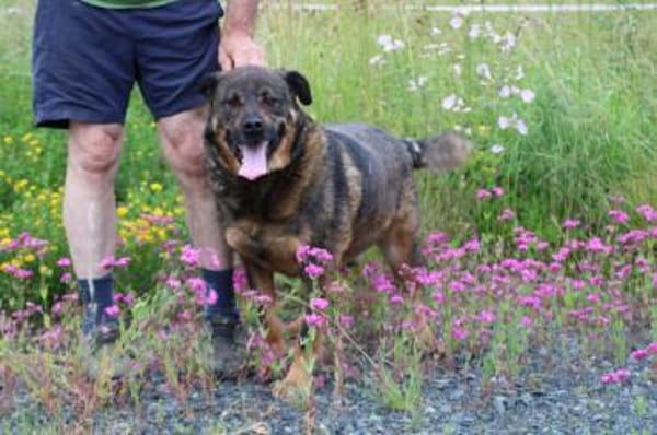 Yona - ein echter Prachtkerl!