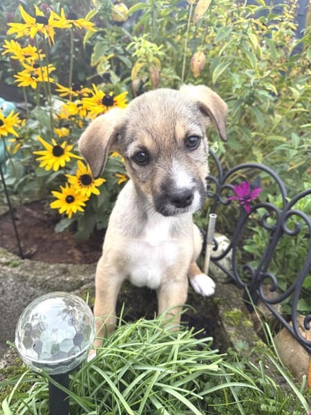 Malcho ein besonders liebes Kerlchen