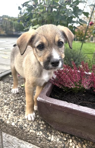 Malcho ein besonders liebes Kerlchen