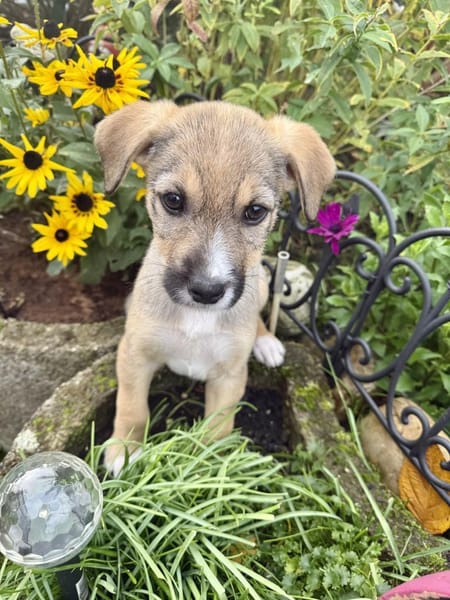 Malcho ein besonders liebes Kerlchen