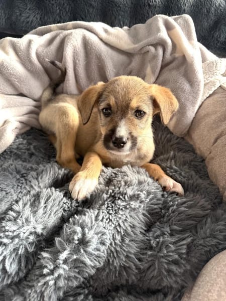 Malcho ein besonders liebes Kerlchen