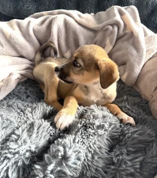 Malcho ein besonders liebes Kerlchen