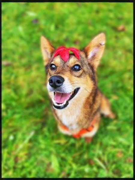 Verkörperung von bedingunslosen Liebe