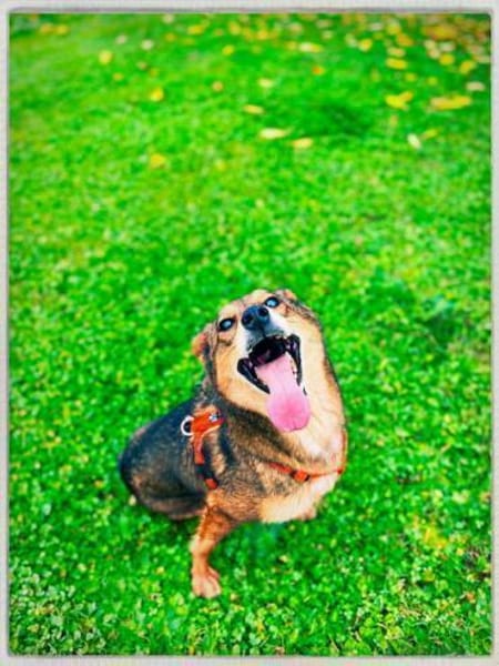 Verkörperung von bedingunslosen Liebe