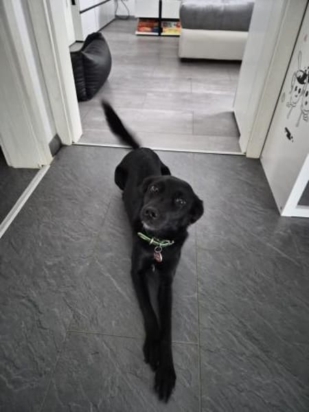 Yuna🌼und Anouk🌸 suchen ein Zuhause