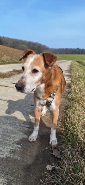 Opi Otto sucht seine Menschen