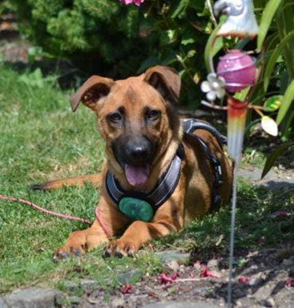 Meda möchte mit Dir die Welt entdecken.