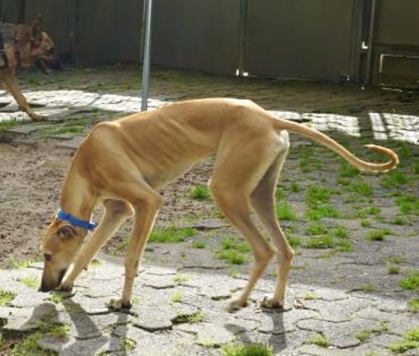 Nora, neugierig, offen, lernwillig