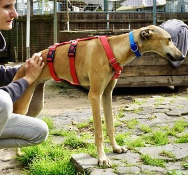 Nora, neugierig, offen, lernwillig