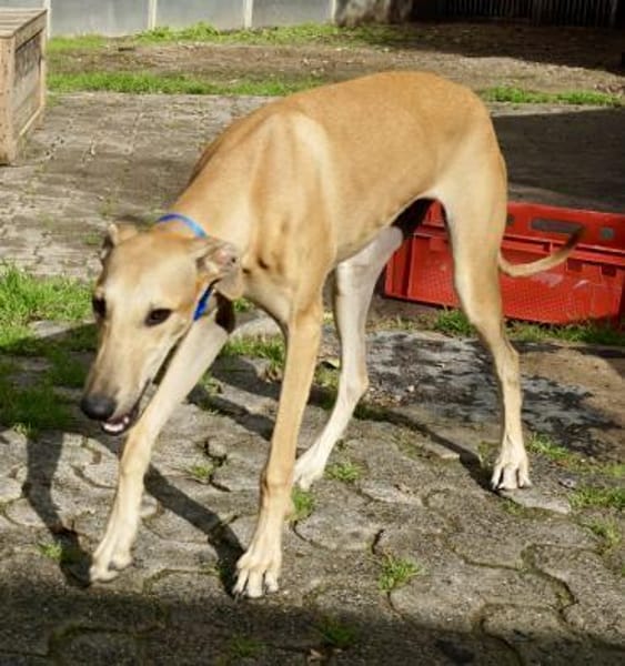 Nora, neugierig, offen, lernwillig