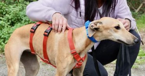 Nora, neugierig, offen, lernwillig