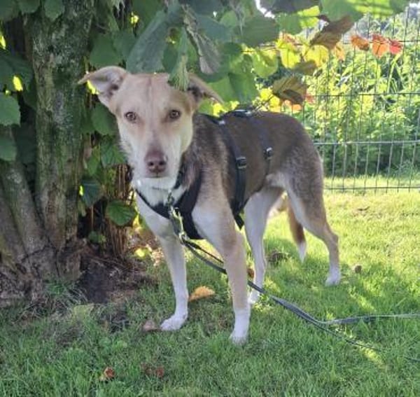 Hübsche LARA sucht Dich !