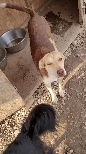 Hübsche LARA sucht Dich !