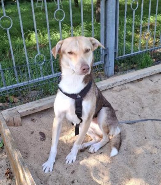 Hübsche LARA sucht Dich !