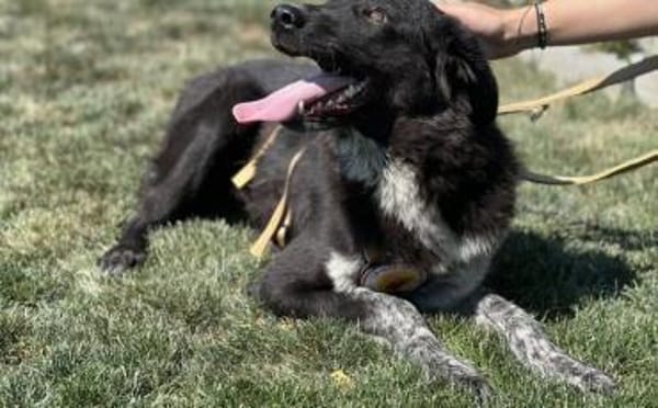 Ivy - voller Energie und Lebensfreude!