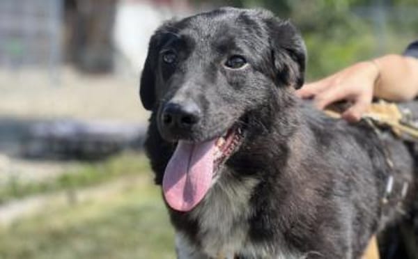 Ivy - voller Energie und Lebensfreude!