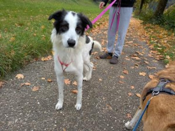 Schenken Sie Jacky ihr Traumzuhause?