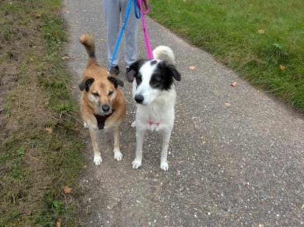 Schenken Sie Jacky ihr Traumzuhause?