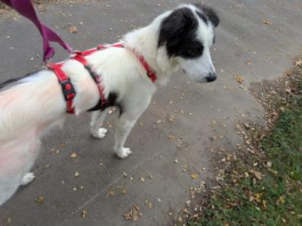 Schenken Sie Jacky ihr Traumzuhause?