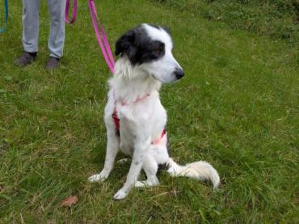 Schenken Sie Jacky ihr Traumzuhause?