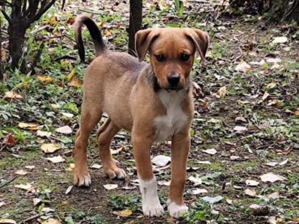 Darf Conni zu Ihnen gehören?