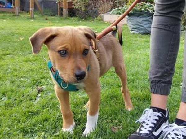 Darf Conni zu Ihnen gehören?