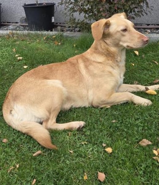 Sanfte kleine Arena möchte Neuanfang