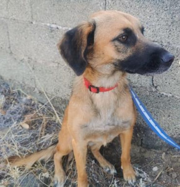 💜🌺 SONJA 🌺 - HABE ICH EINE CHANCE?