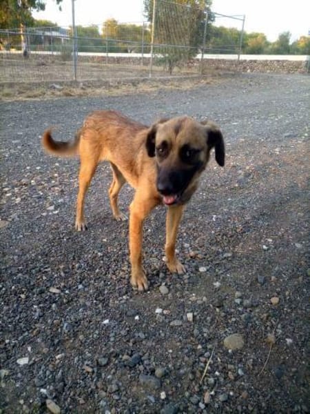 💜🌺 SONJA 🌺 - HABE ICH EINE CHANCE?